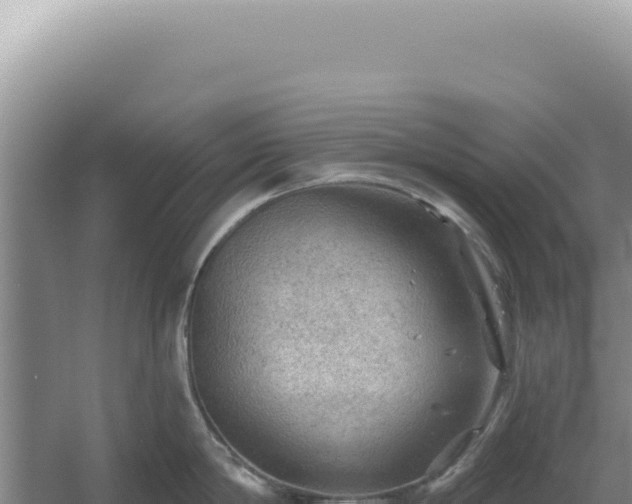 X0000054400814200508051712