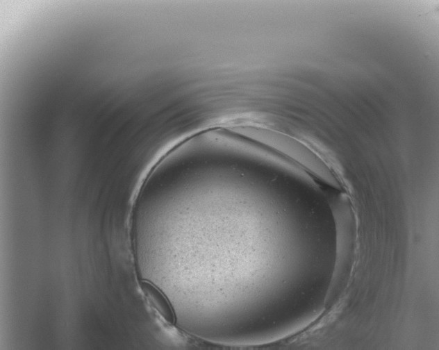 X0000054400816200508051712