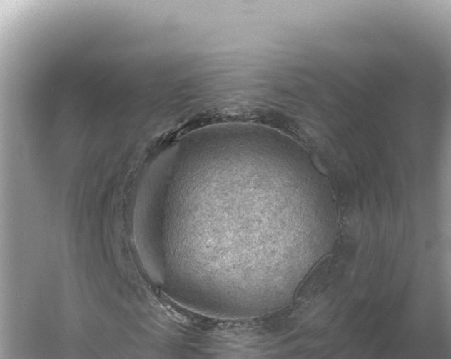 X0000054400817200508051711