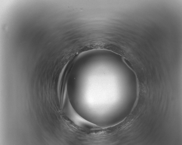 X0000054400818200508051711