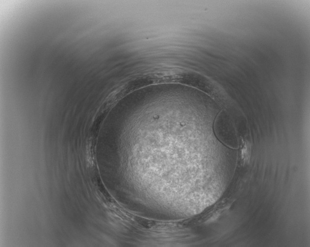 X0000054400819200508051711