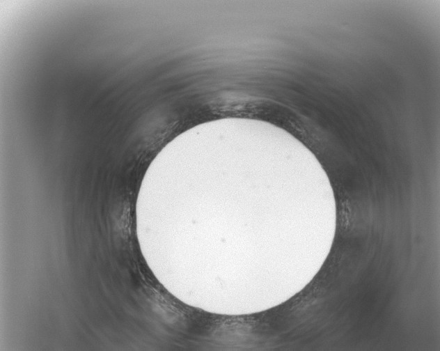 X0000054400820200508051711