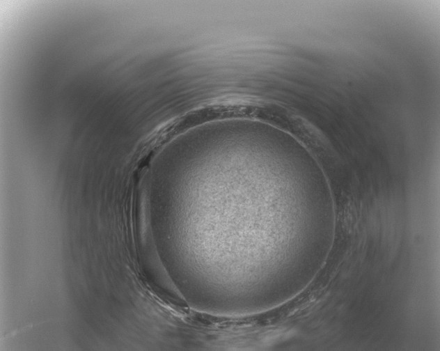 X0000054400821200508051711