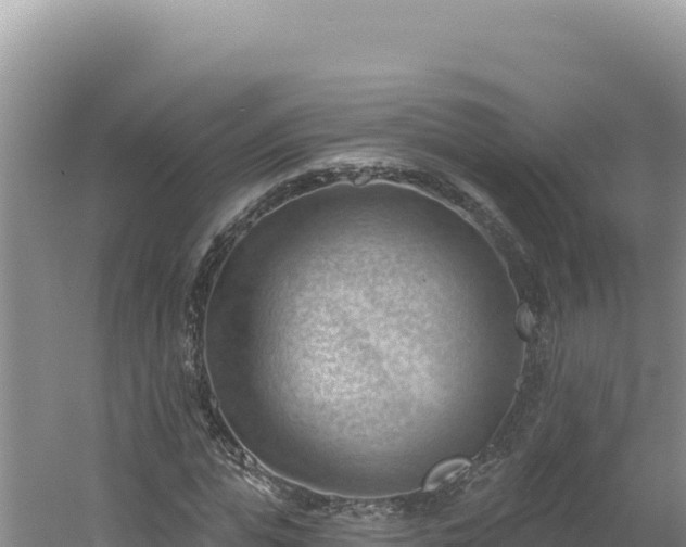 X0000054400823200508051711