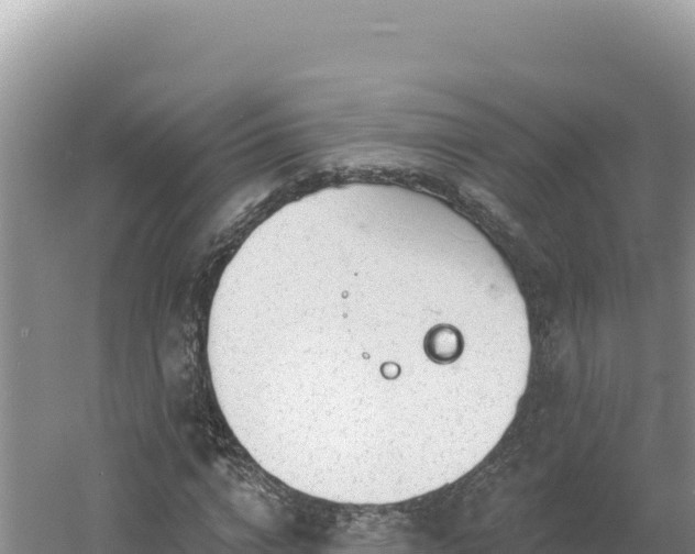 X0000054400824200508051711