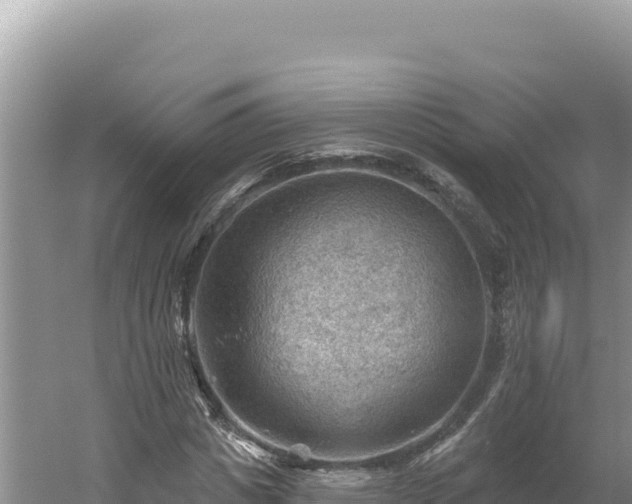 X0000054400825200508051711