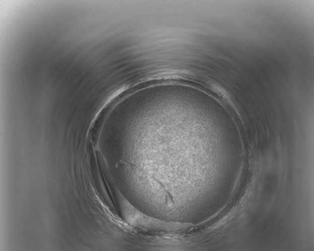 X0000054400827200508051711