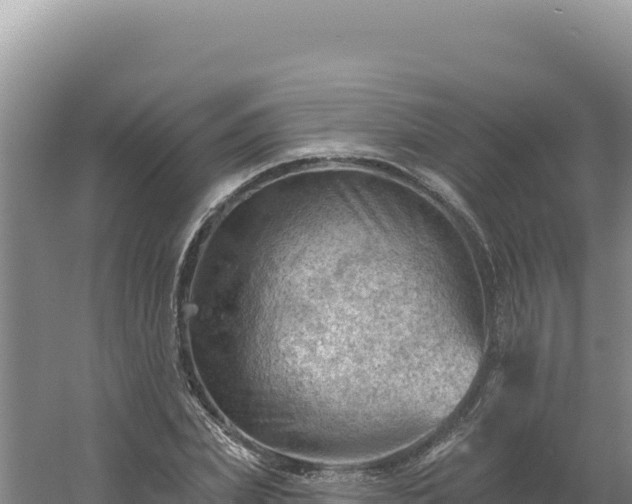 X0000054400831200508051711