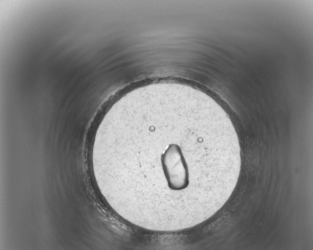 X0000054400832200508051711