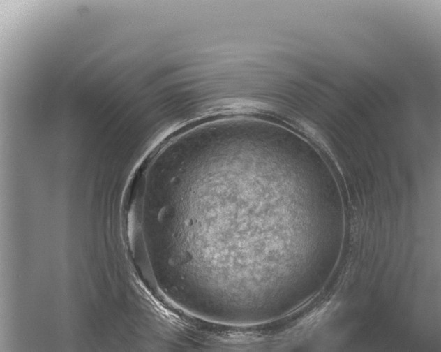 X0000054400835200508051711