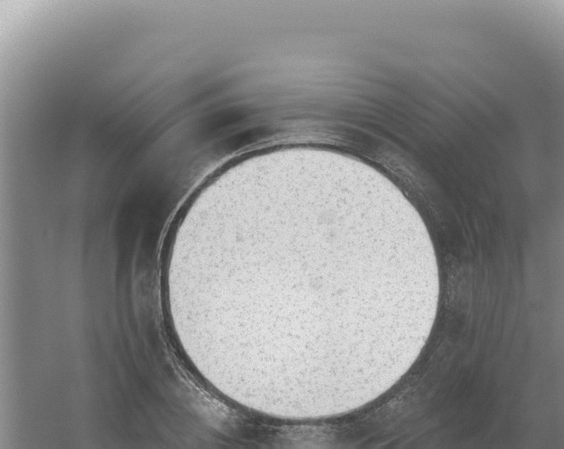 X0000054400836200508051711