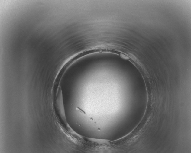 X0000054400838200508051711