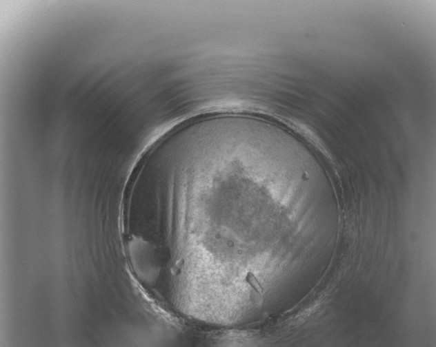 X0000054400839200508051711