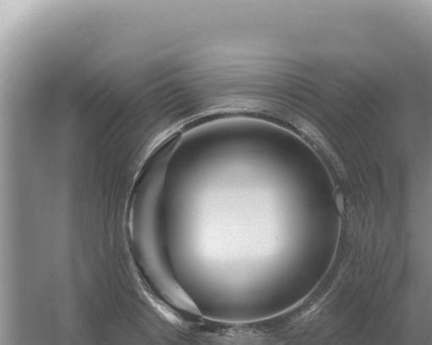 X0000054400842200508051711