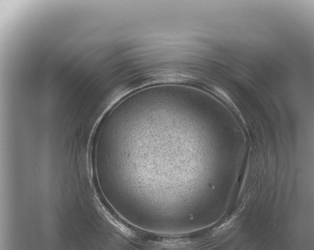 X0000054400843200508051711