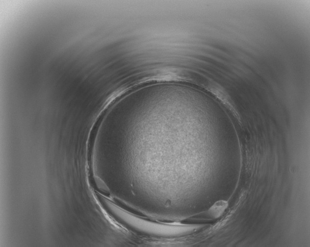 X0000054400845200508051711