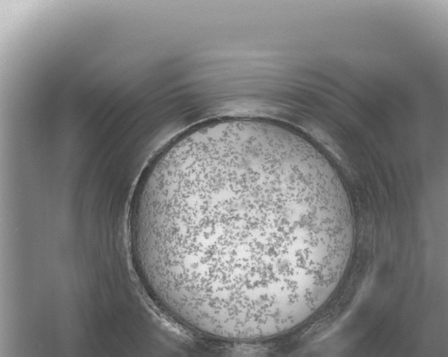 X0000054400848200508051711