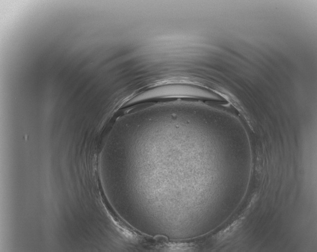 X0000054400849200508051711