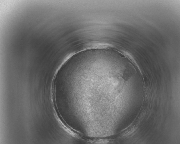 X0000054400851200508051711