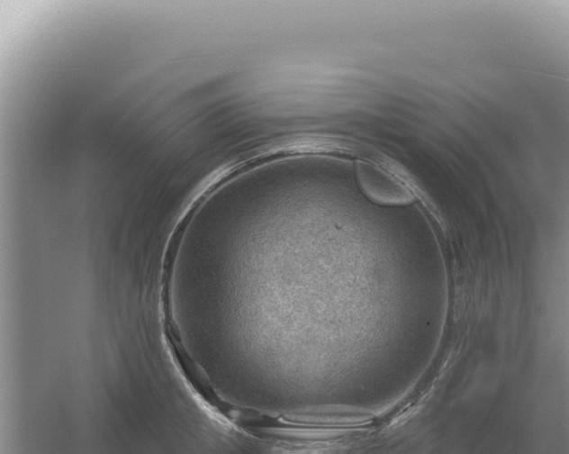 X0000054400853200508051711