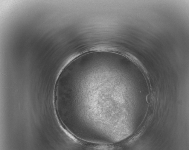 X0000054400855200508051712