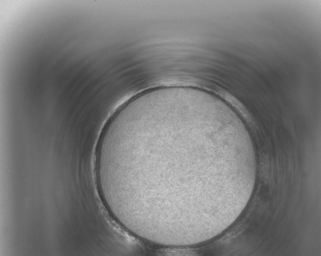 X0000054400856200508051712