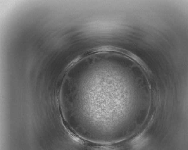 X0000054400857200508051712