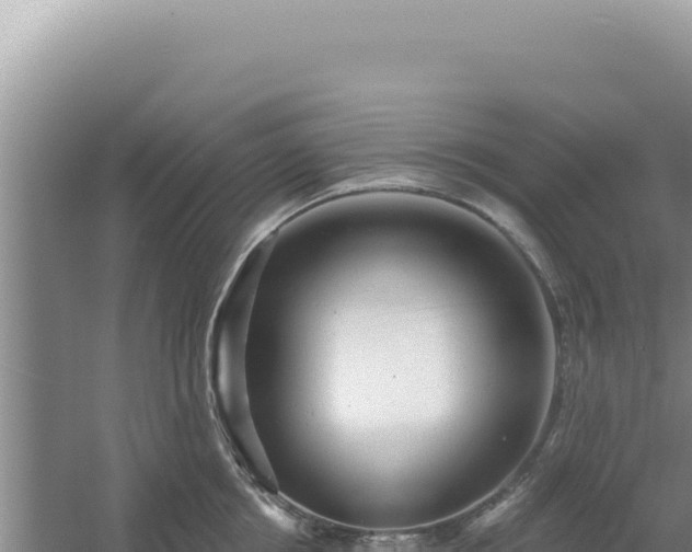 X0000054400858200508051712