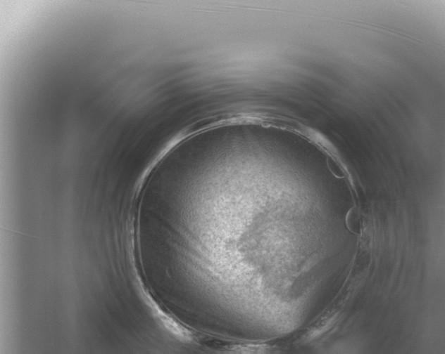 X0000054400859200508051712