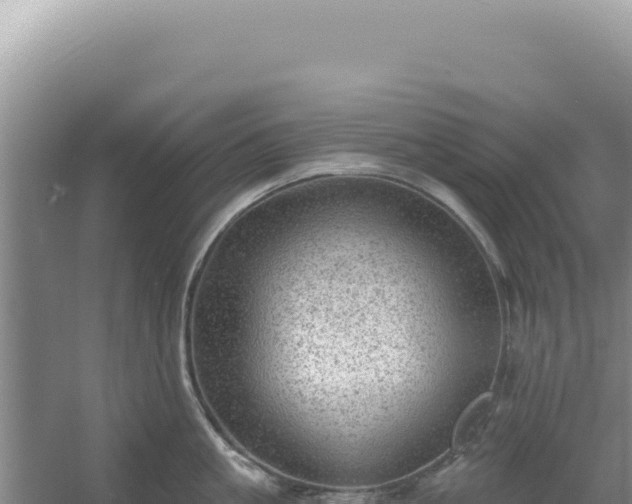 X0000054400861200508051712