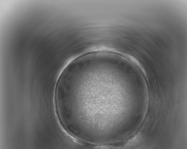 X0000054400863200508051712