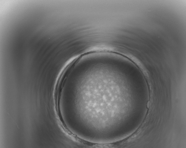 X0000054400864200508051712