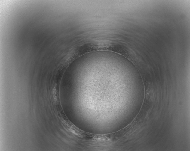 X0000054400866200508051711