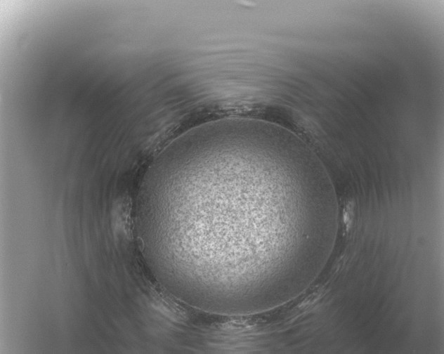 X0000054400867200508051711