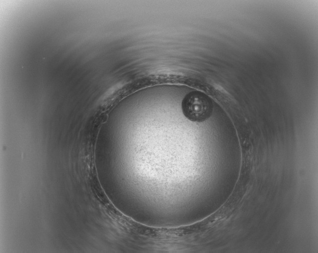 X0000054400870200508051711