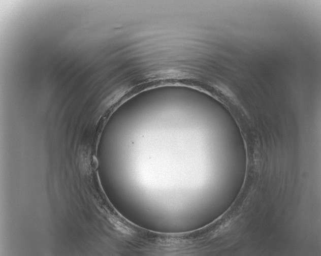 X0000054400873200508051711