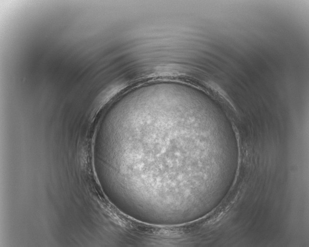 X0000054400874200508051711