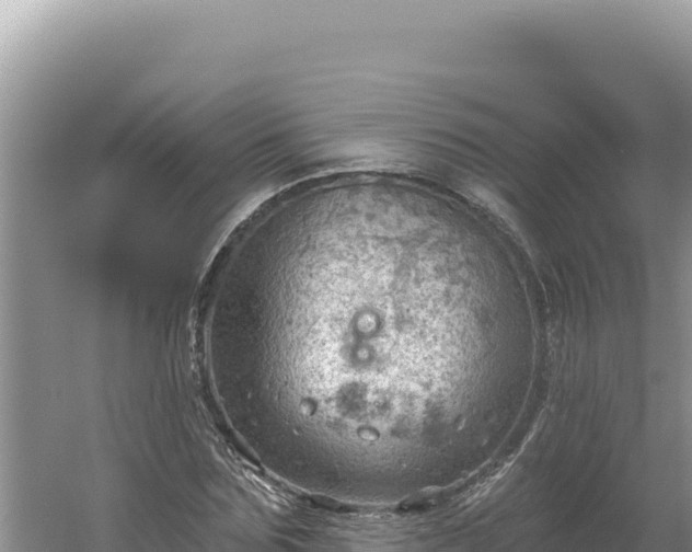 X0000054400875200508051711