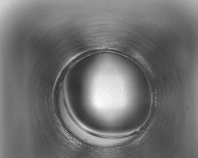 X0000054400876200508051711