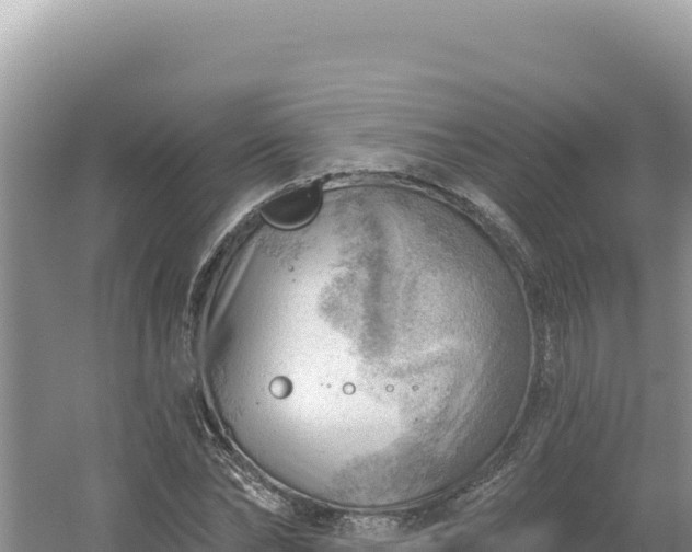 X0000054400878200508051711