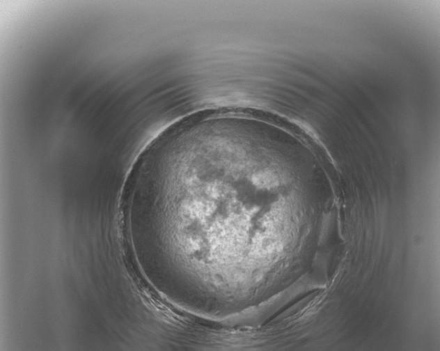 X0000054400879200508051711