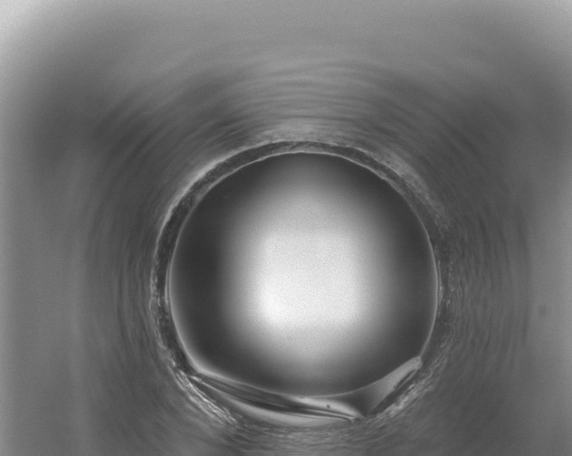 X0000054400880200508051711