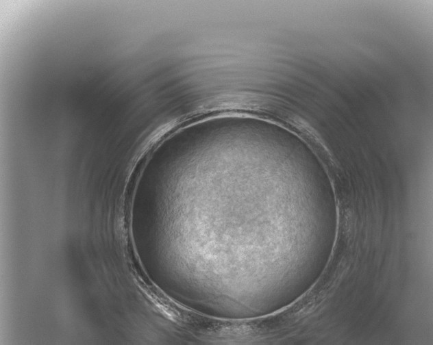 X0000054400882200508051711