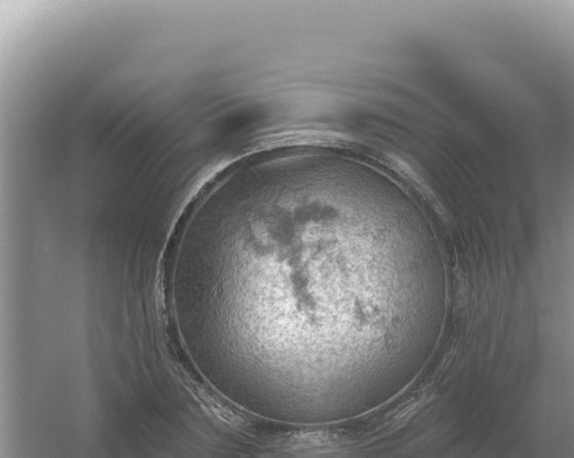 X0000054400883200508051711