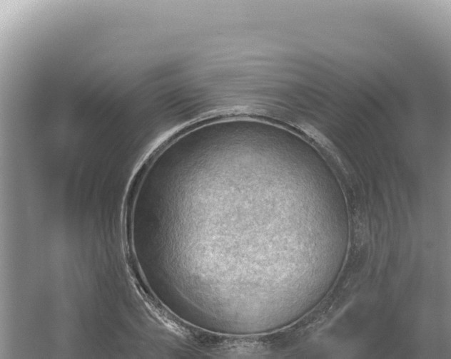 X0000054400886200508051710