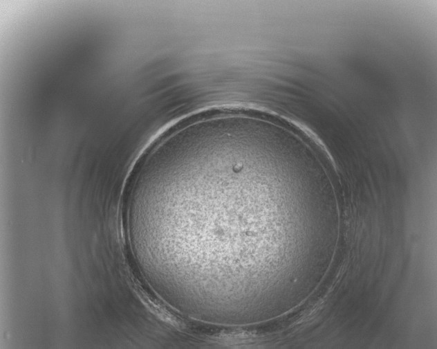 X0000054400887200508051710