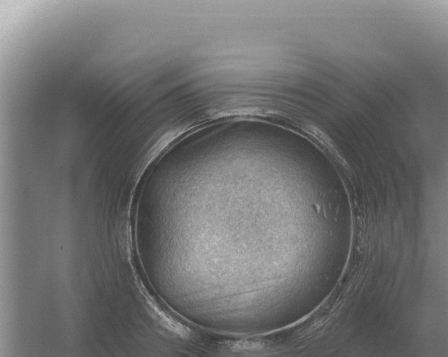 X0000054400890200508051710