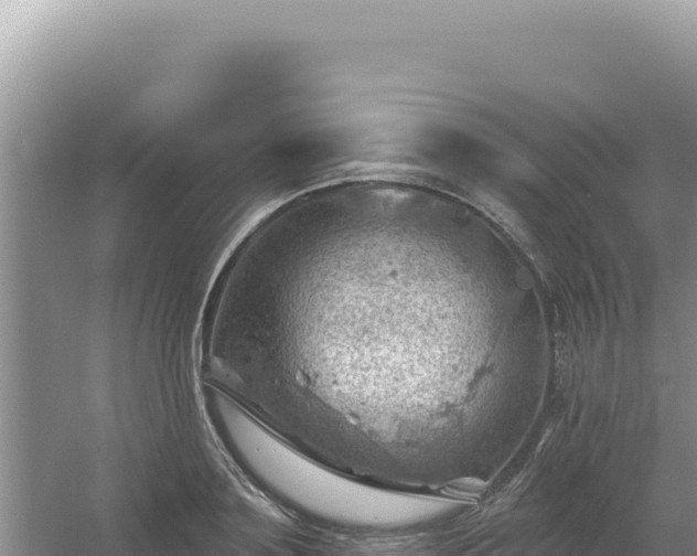 X0000054400891200508051710