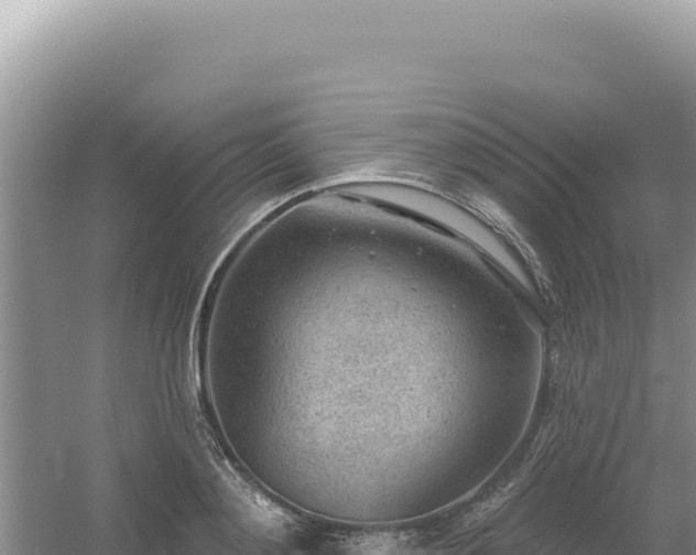 X0000054400892200508051710