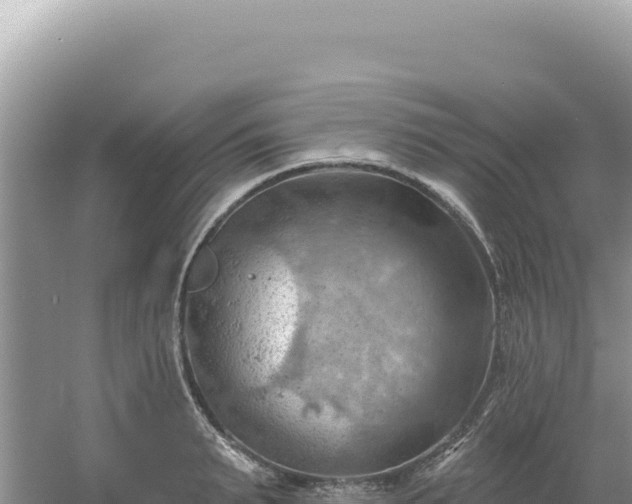 X0000054400895200508051710